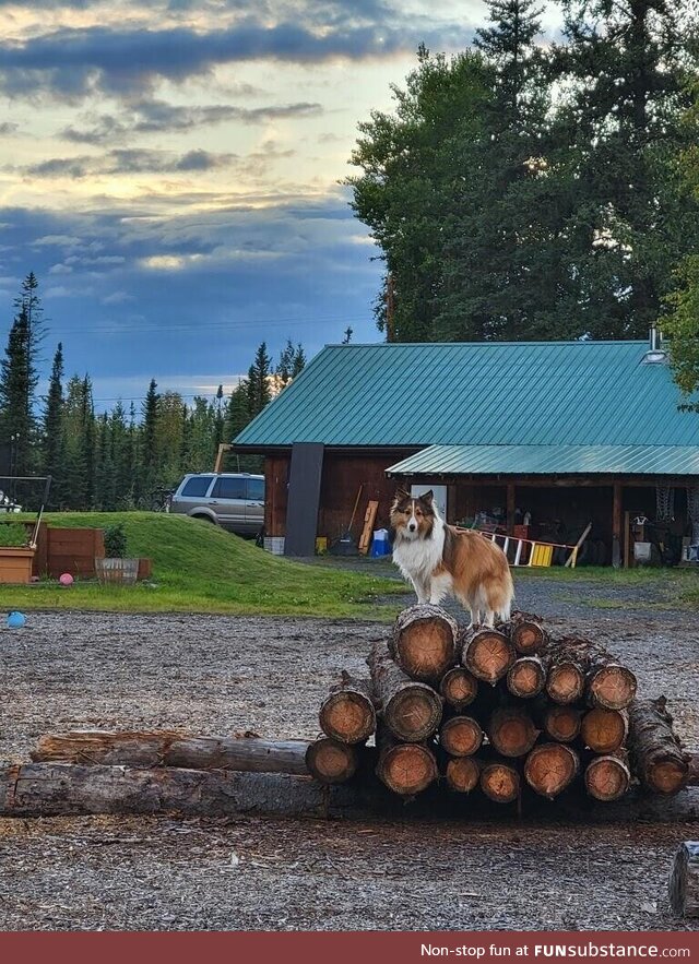 Posing for pictures. North Pole, Alaska