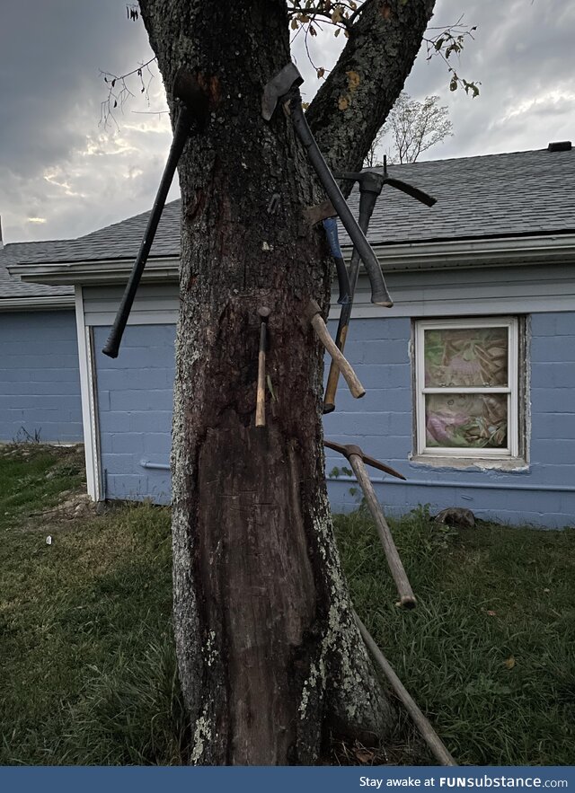 [oc] neighbors redneck tree ornamentation