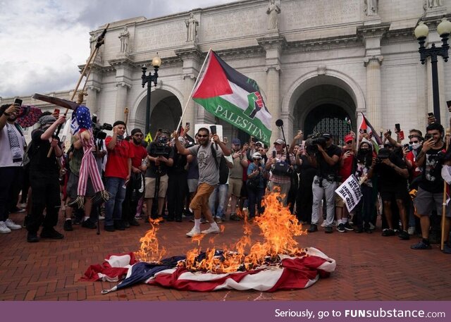 Pro-Palestinian protesters in DC burning the American flag during Netenyahu's speech