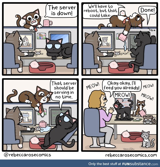[oc] petwork error