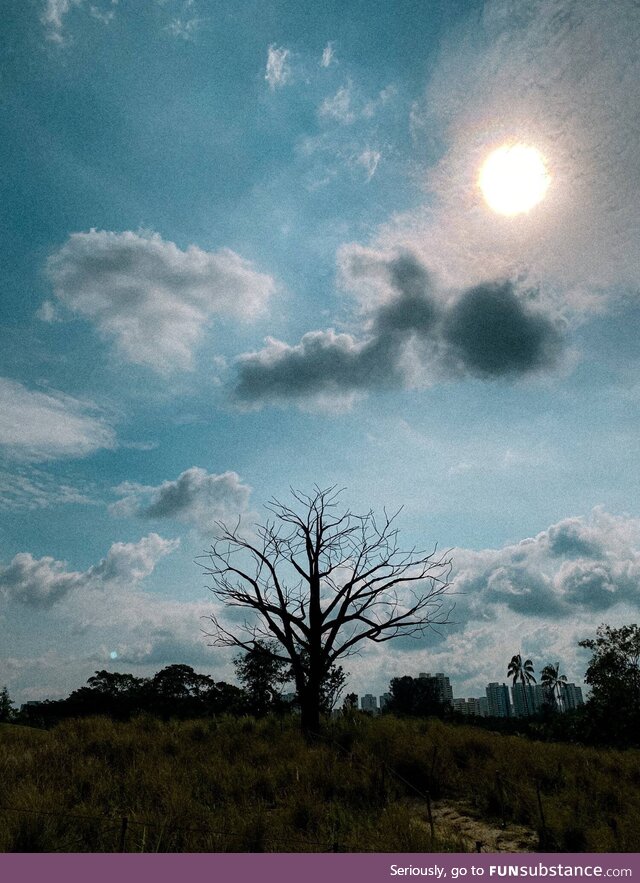 Took a pic of a side of Singapore that isn't seen as often