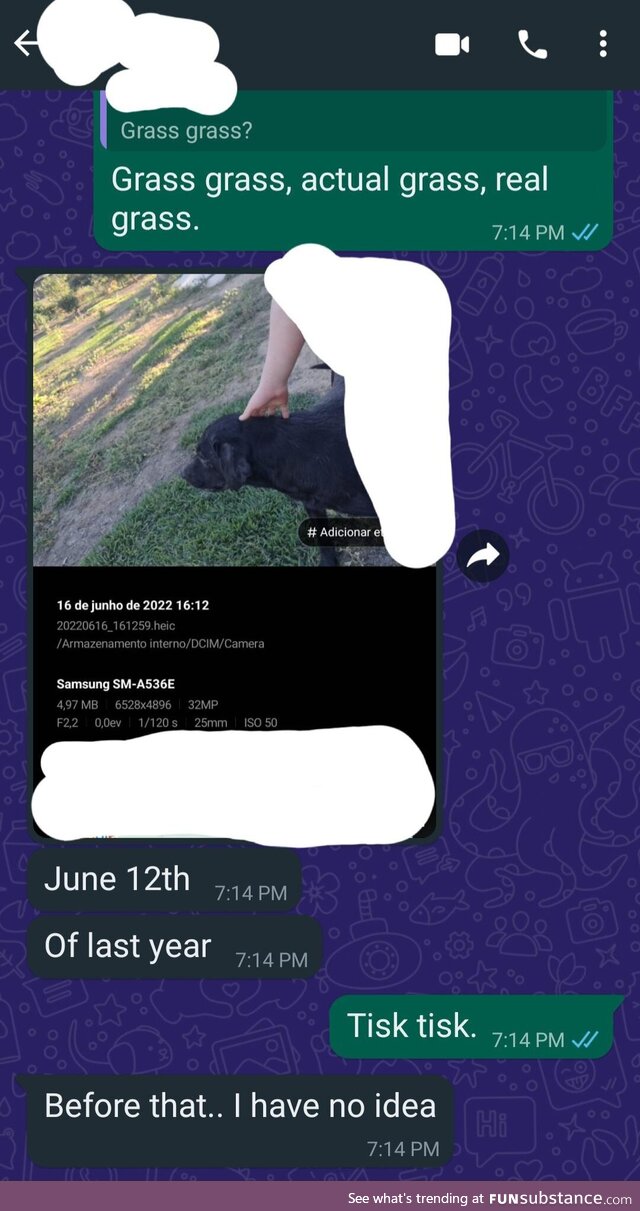askedMyProgrammerFriendWhenTheyLastTouchedGrass