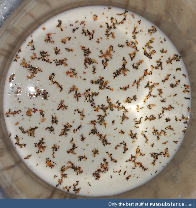 Chilli flakes on butter milk makes a unique texture (looks more like a tile design)