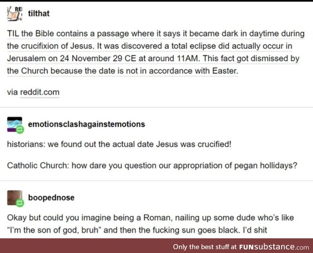 Crabby truthful punctual