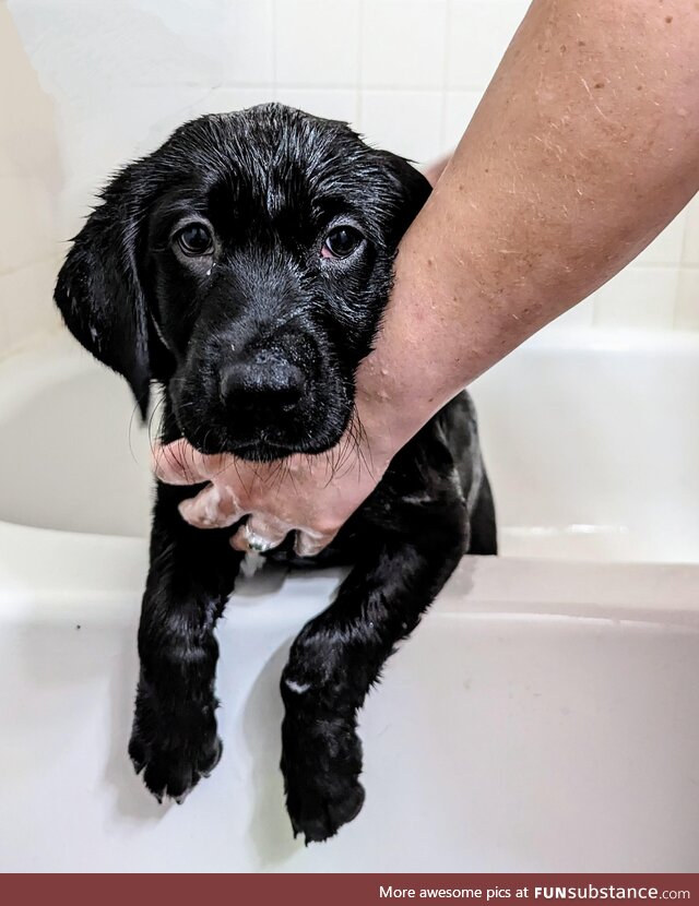 Leo's first bath