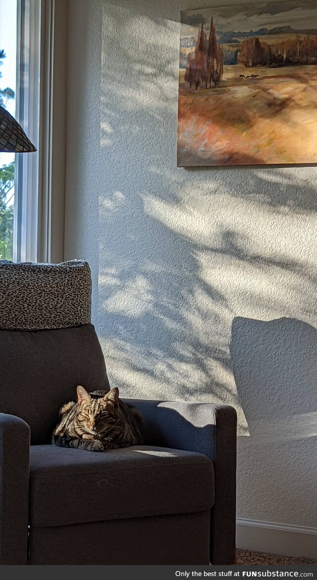 [OC] Henry sits here all day everyday