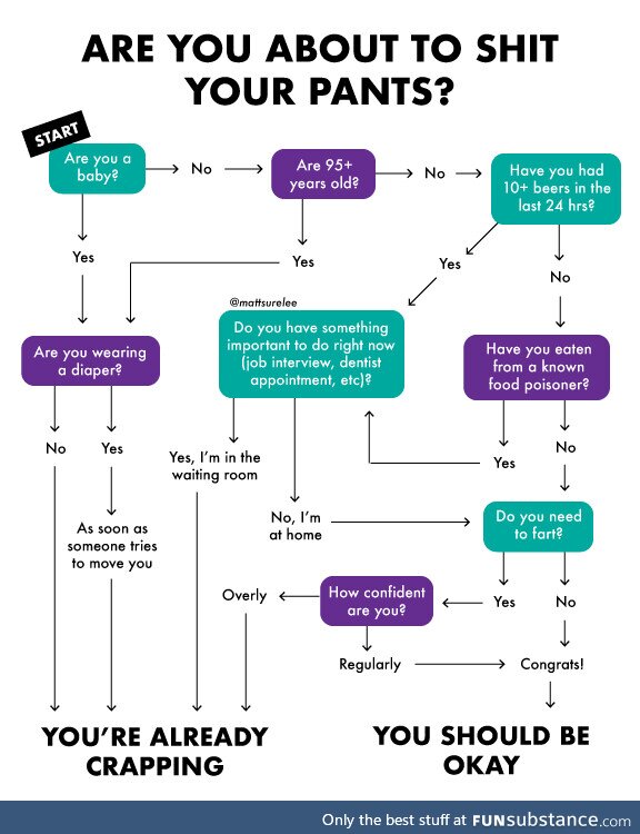 Flowchart: Are you about to sh*t your pants?