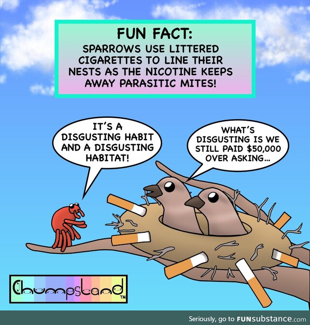Fun fact about sparrows [oc]