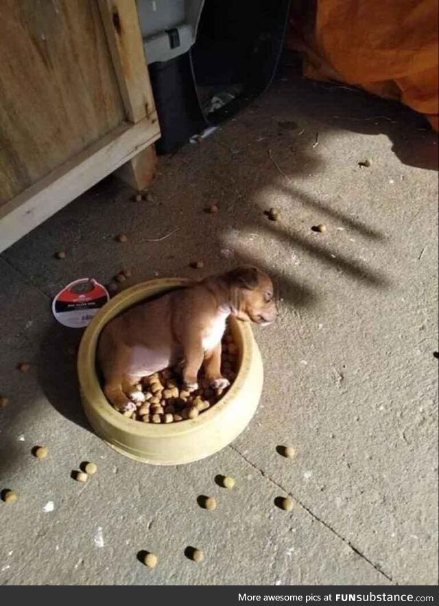How would you wake him up