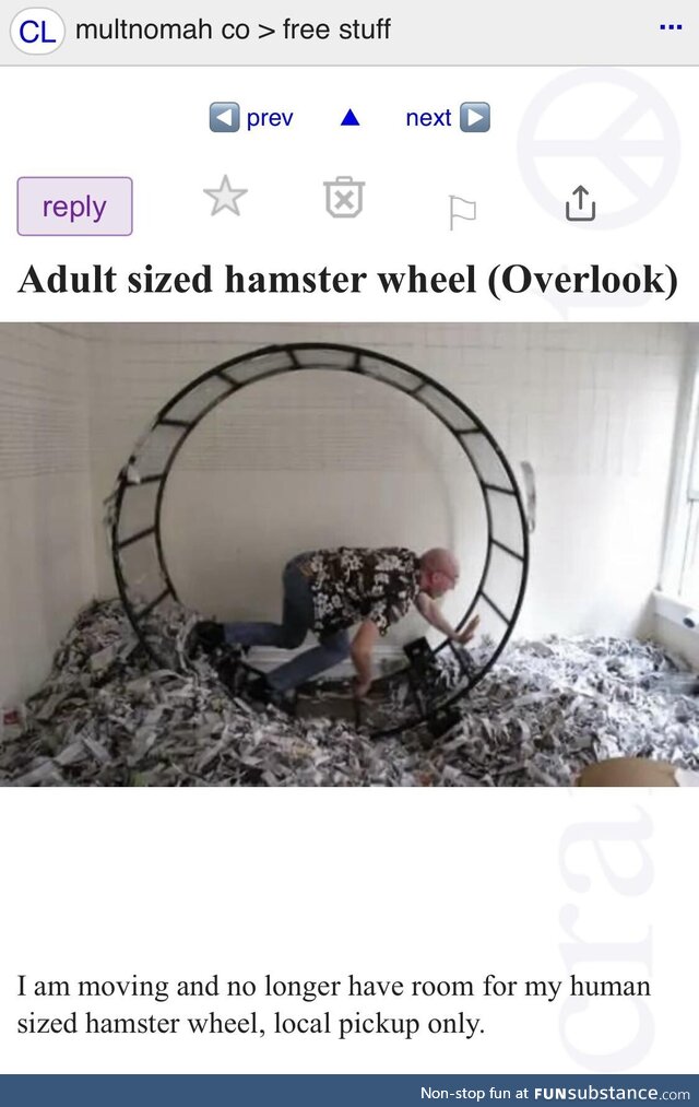 Adult sized hamster wheel