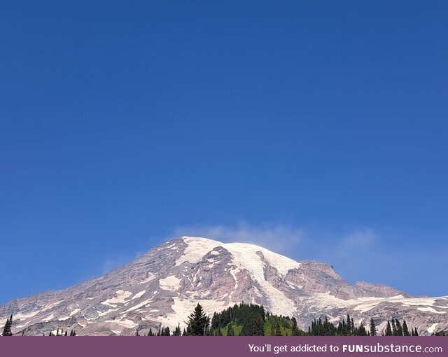 Took a picture of Mt Ranier