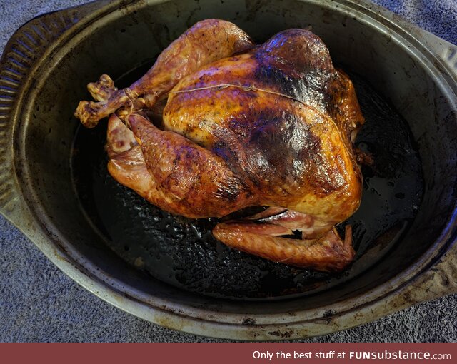 It's not Thanksgiving unless you give your turkey t*tties