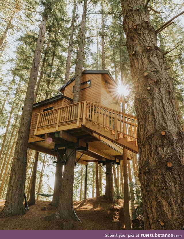 A Treehouse in Washington state