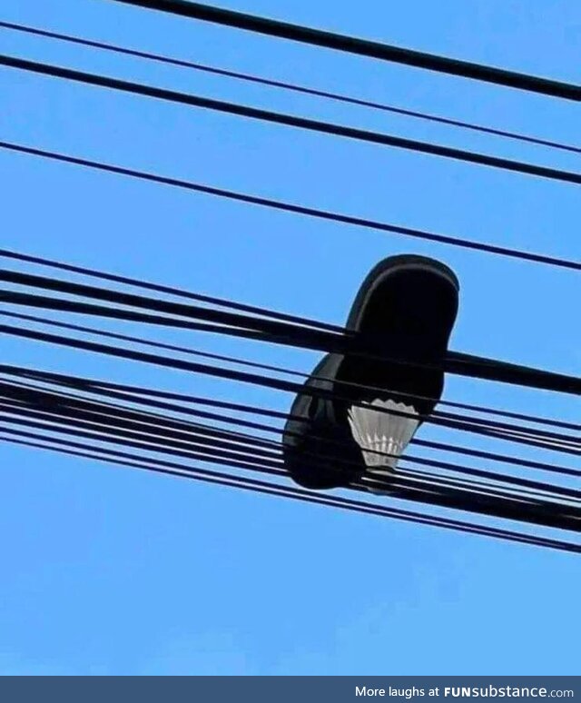 A pic which speaks for itself