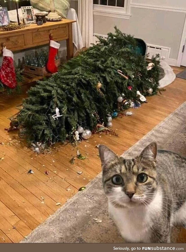 Oopsies!