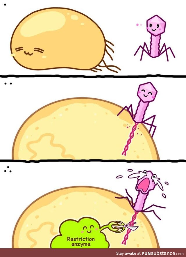 Heh