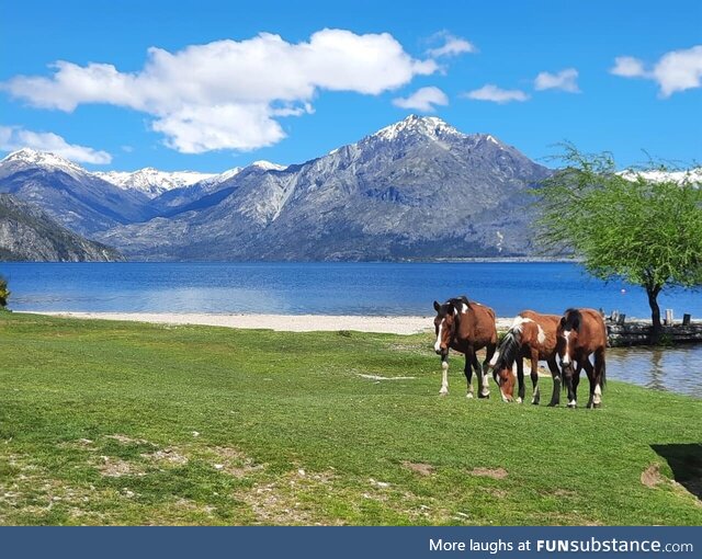 Puerto patriada, el hoyo, argentina