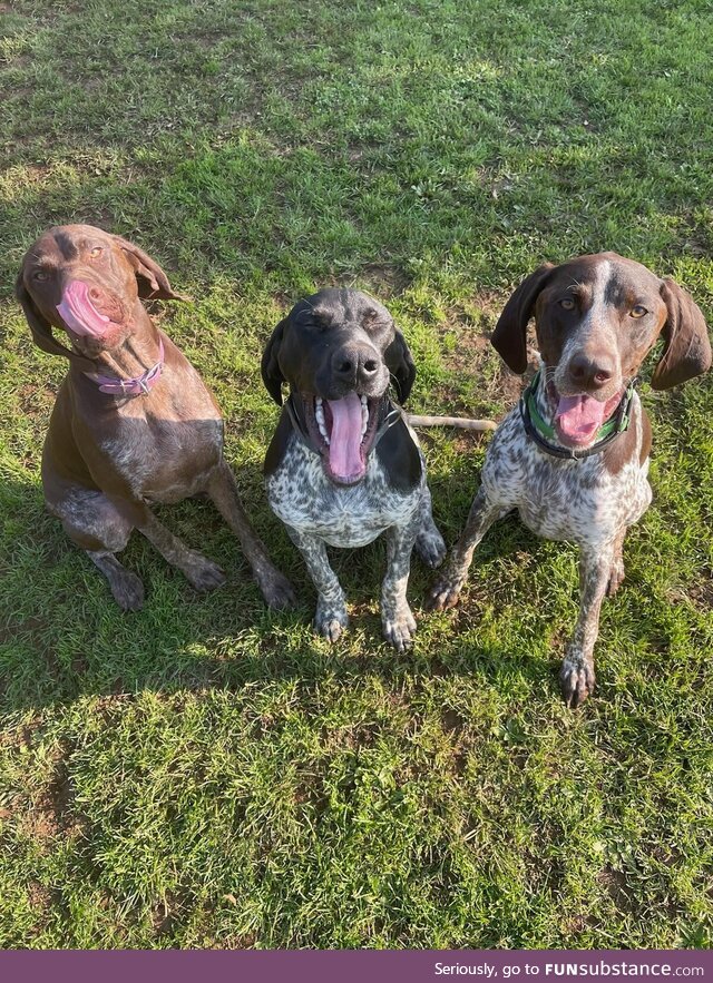Triple trouble