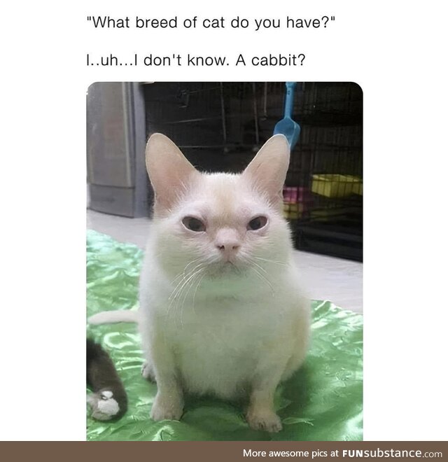 Bruh