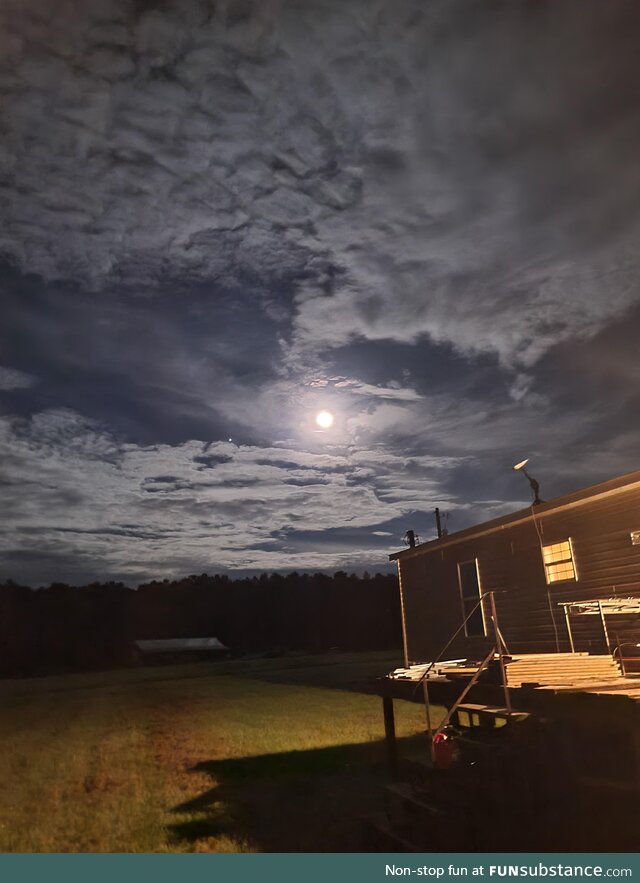 My backyard tonight
