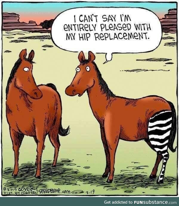 New hip
