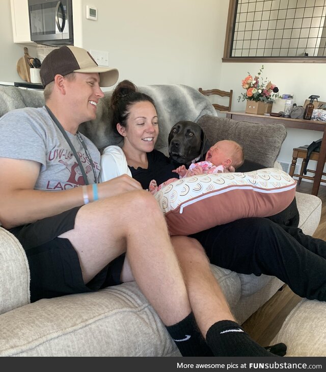 Our dog’s reaction to bringing home our tiny human