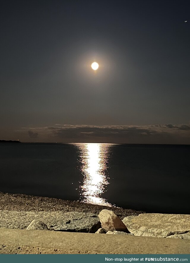 Moonlit night