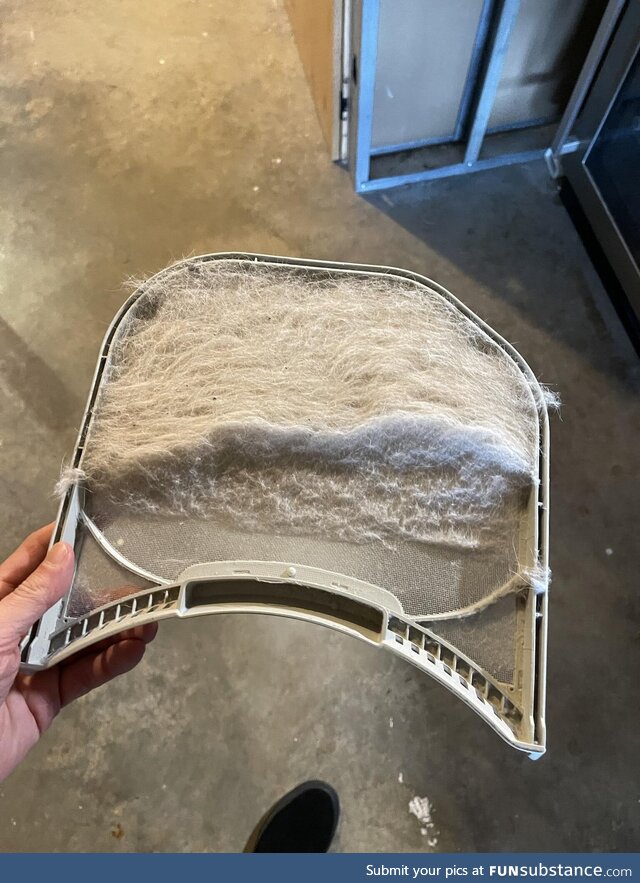 Hair collection after washing and drying dog's bedsheets