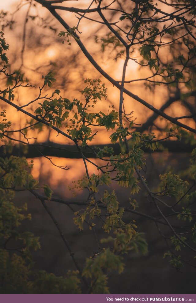 Sunset tonight in lower Michigan on a beautiful spring evening