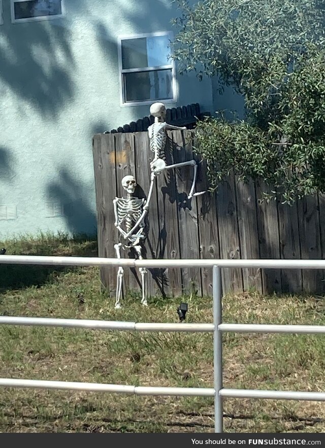 Two skeletons hopping a fence