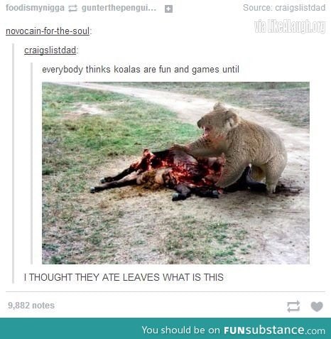 Koalas are beasts