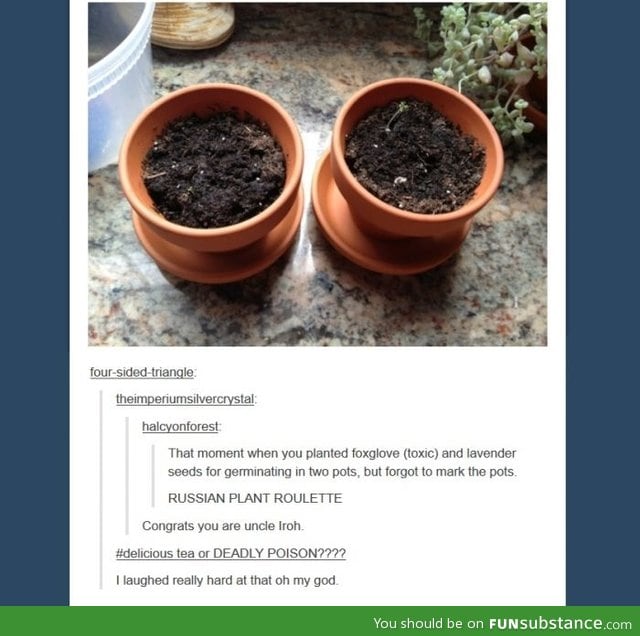 Russian plant roulette