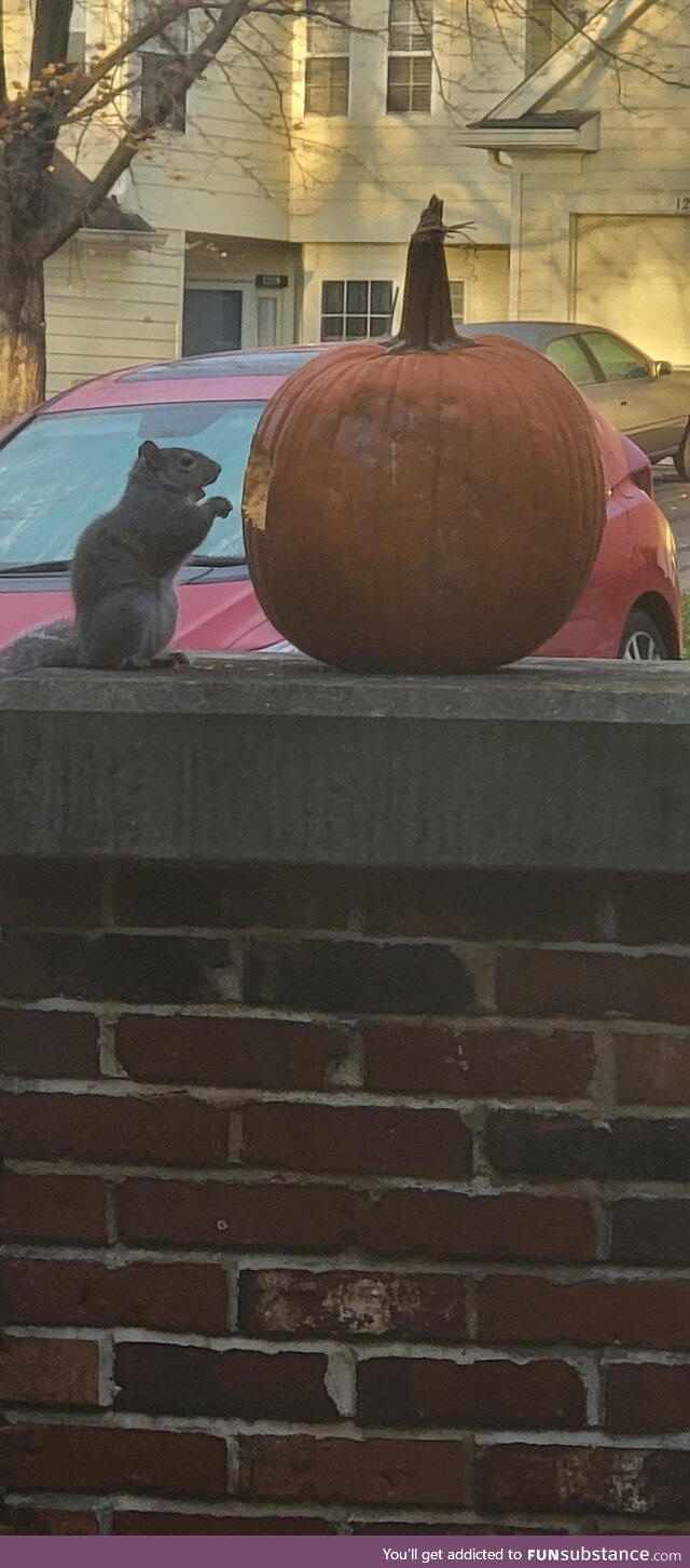 Time to get rid of the pumpkin