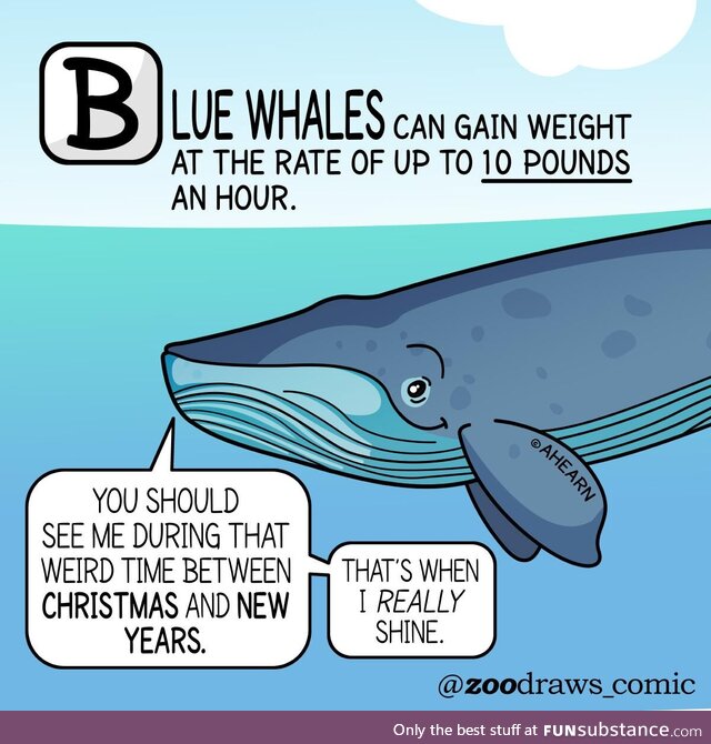 This is not a personal attack [oc}
