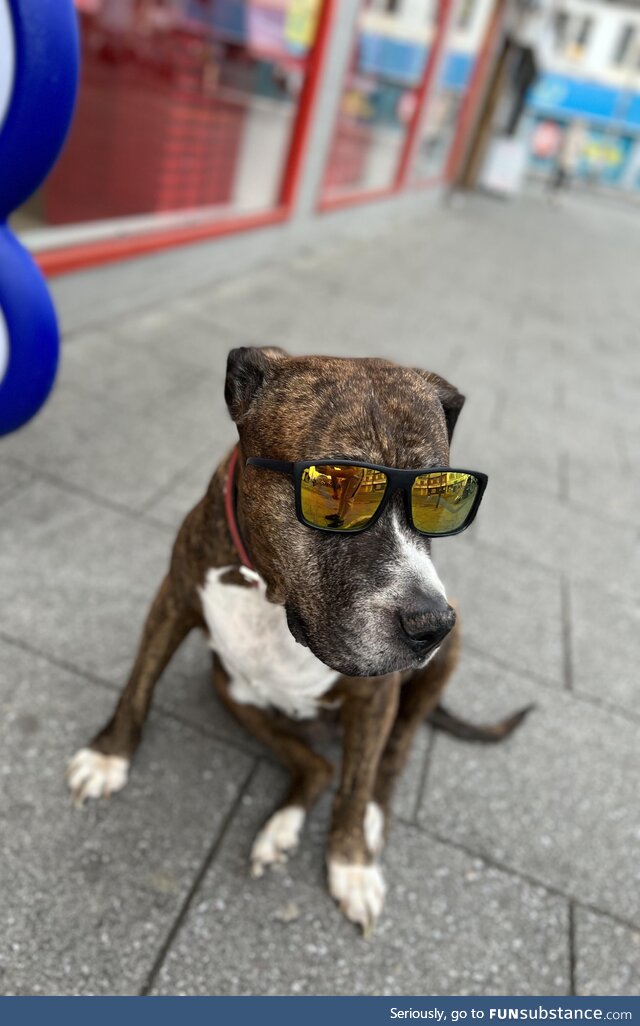 Ran into this dude today while out, just chilling [OC]