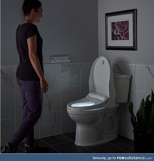DAE feel like having an ultra clean bum is the move for 2022? SpaLet Bidet seats provide