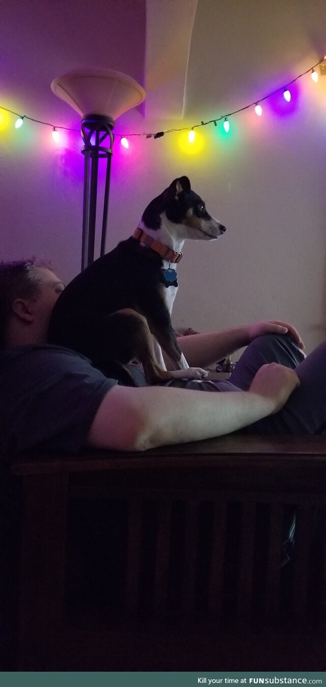 He was really into the show we were watching