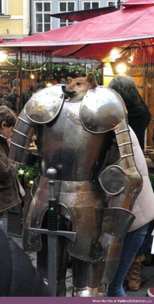 Sir Doge, protector of the Cafe!