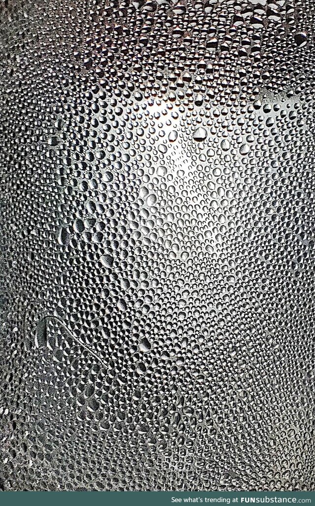 [OC] Condensation on a Bottle Shot with a Macro Lens
