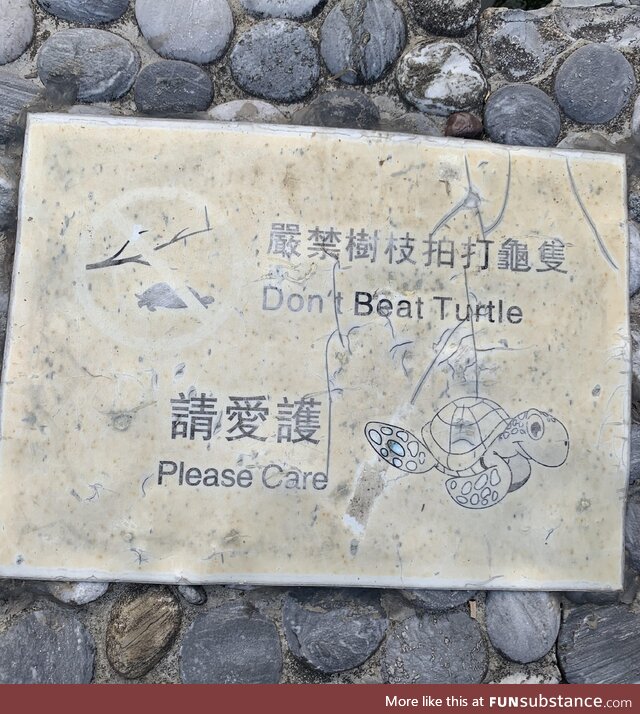 …who’s beating the turtles?