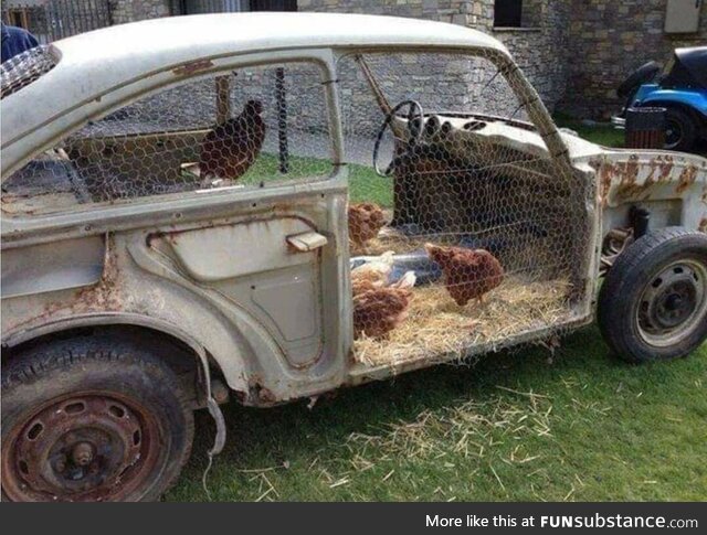 Chicken coupe