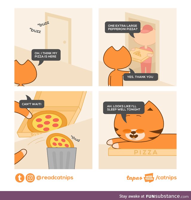 Catnips: Pizza box
