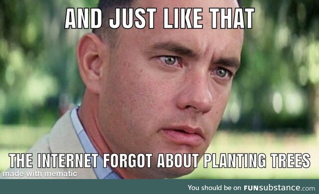 Started out amazing, then