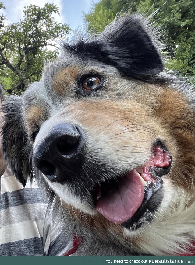 [OC] Such a good boy!