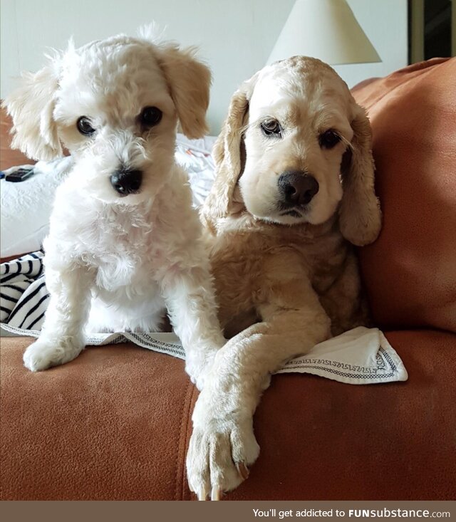 Look at this tough guy and his accomplice