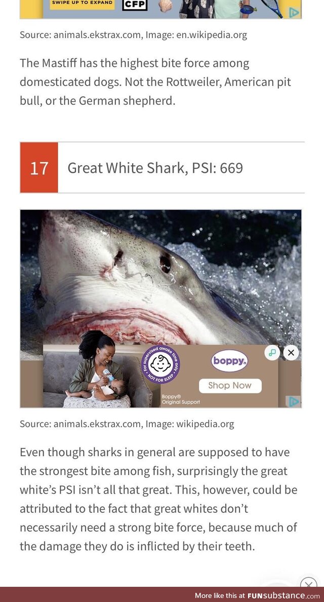 This unfortunate ad placement