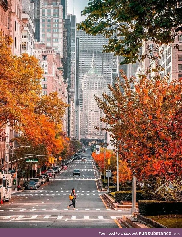 Autumn,new york,united states