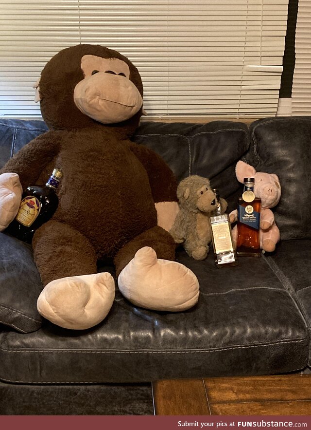 Quarantine with the boys