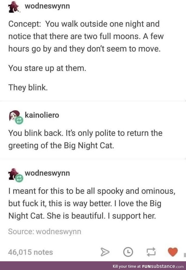 Sky cat toys with you