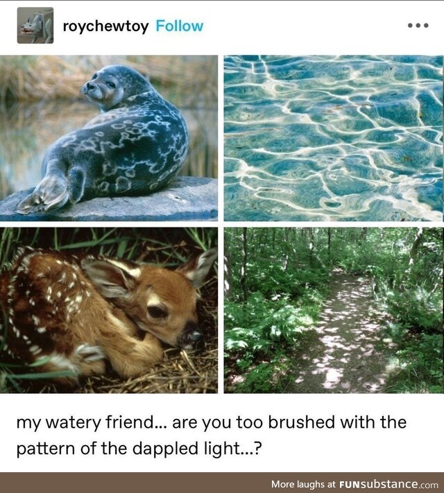 Proportionate nappy scarlet